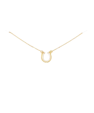 Horseshoe Accent Necklace