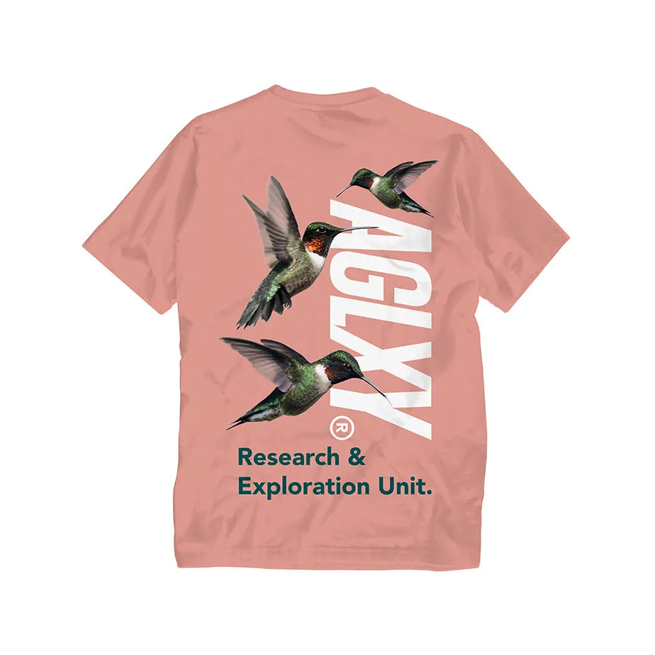 Hummingbird 018 - Dusty Pink