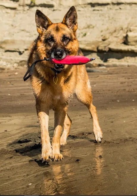 Sqwuggie